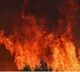 Boat catches fire near Kakinada coast