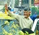 Huge welcome for Chandrababu in Gannavaram constituency
