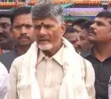 Chandrababu Temple visit with wife Bhuvaneswari