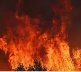 Private bus towards Nellore caught fire in Nalgonda dist
