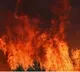Private bus towards Nellore caught fire in Nalgonda dist