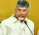Chandrababu responds on Cyclone Michaung