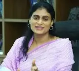 YS Sharmila son Raja Reddy love marriage