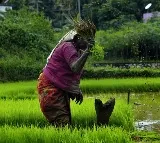 Center gives clarity on PM Kisan hike