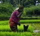 Center gives clarity on PM Kisan hike