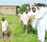 Nadendla manohar demands ap govt to aid michaum victims