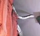 Python found in garment store in UP’s Meerut