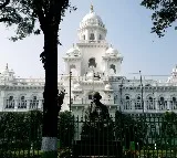 15 doctors in new Telangana Assembly