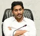 CM Jagan will tour in cyclone hit areas