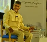 Chandrababu wrote SEC on votes issues