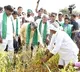 Chandrababu visits paddy fields in joint Guntur district