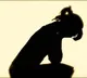 Allahabad High Court Says Marital rape is no offence if wife is 18 or above