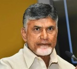 I will give tickets only to winning candidates says Chandrababu