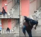 Man violently kills puppy in MP, Scindia demands punishment