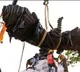 Jatayu statue installed at Ayodhya temple complex