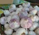 The Prices Of Garlic Have Increased Drastically Above Rs 400 Per Kg