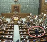 Parliament security breach: Two unidentified men jump from visitor's gallery in LS