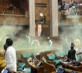 Eight suspended for security breach in Parliament