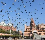 Shahi Idgah committee to move SC against Allahabad HC order allowing survey of mosque complex
