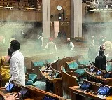 Parliament security breach case: Two more detained, police likely to recreate crime scene today