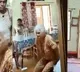 Daughter in law attacked aunt video went viral and  Arrested