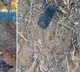 Burnt phone parts and clothes of Parliament breach accused found in Rajasthan