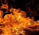 Minor boys burn four puppies to death in Kanpur