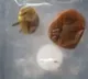 NASA Reveals First Image Of Missing Space Tomatoes Found After 8 Months