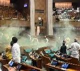 No need to recreate crime scene, says cop probing Parl security breach
