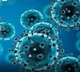 Telangana reports 4 new Covid cases