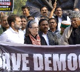 No discussion taking place on suspension of 150 MPs but on mimicry row: Rahul