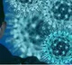 Six new Covid cases in Telangana