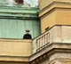 Prague University shooting 16 killed including gunman 30 others injured in Czech Republic