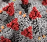 Take these precautions for Covid JN 1 virus