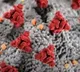 Take these precautions for Covid JN 1 virus