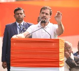 Rahul Gandhi urges professionals to join All India Professionals' Congress