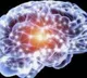Brain cell discovery sparks hope for fertility treatments