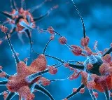 Indian scientists develop AI tool for nerve disorders in hand, forearm