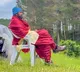 Mohan Babu says Kannappa shooting completed in New Zealand