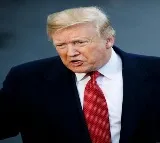Who will be Trump's Vice President if he wins 2024 elections?
