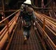 12 dead, 39 injured in Indonesia's nickel-processing plant