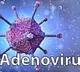Central body cautions Bengal govt over deadly adenovirus variant in kids