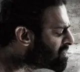 Salaar song released