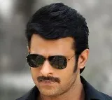 Prabhas and Maruthi movie update