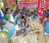 Anganwadis handed over their demands to a Baboon