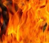 10 dead, over dozen critically injured as bus catches fire in MP's Guna