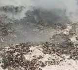 Fire accident in Cotton Industry
