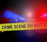 6 members of Indian-origin family killed in road crash in Texas