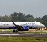 Passenger discovers live worm in sandwich on IndiGo flight