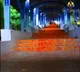 There Is No Trace Of Leopard In Alipiri walk path says TTD DFO